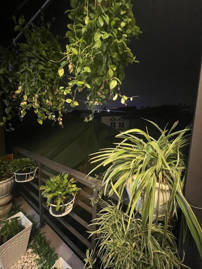 Sunflower Homestay האי פונג מראה חיצוני תמונה